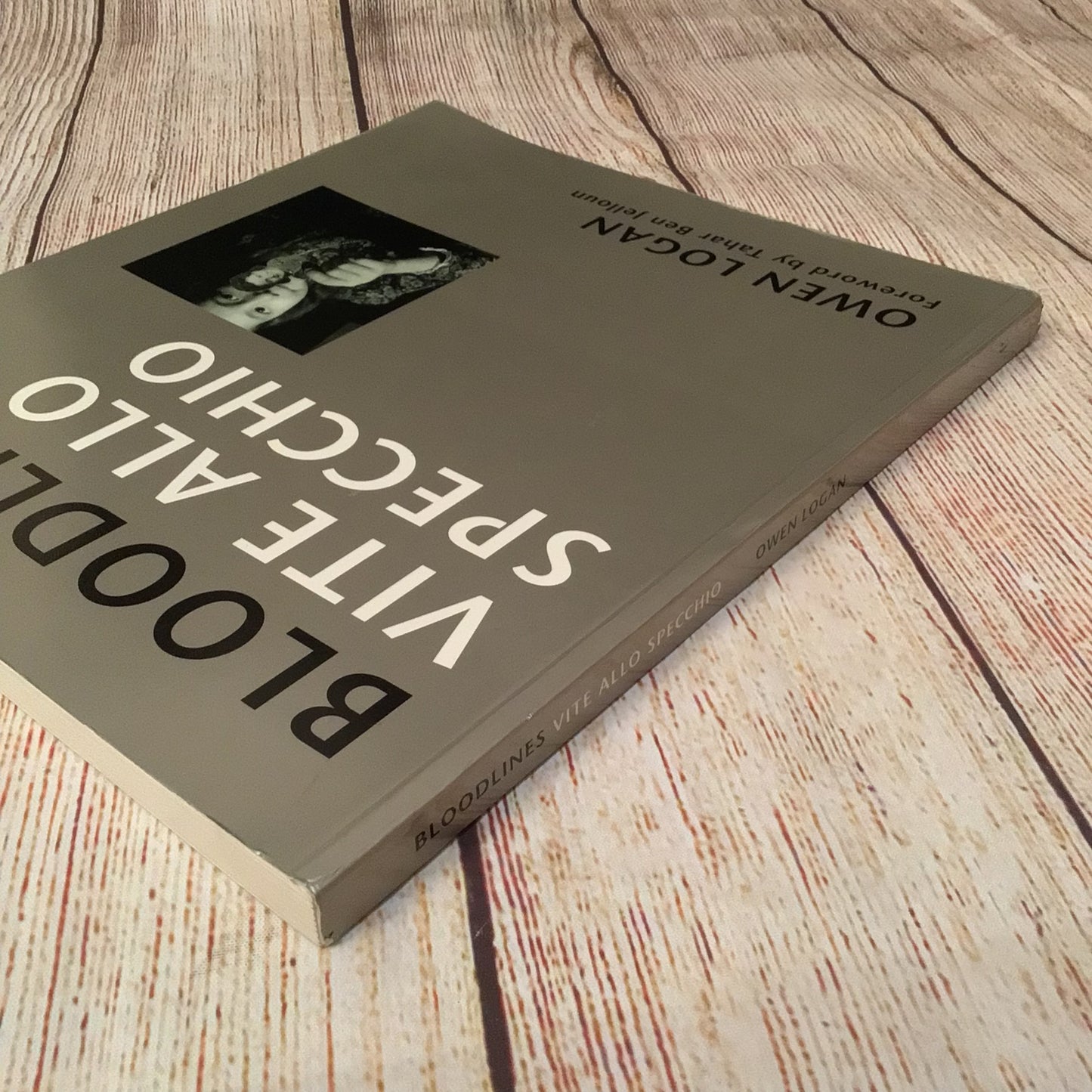 Bloodlines: Vite Allo Specchio by Owen Logan (1994)