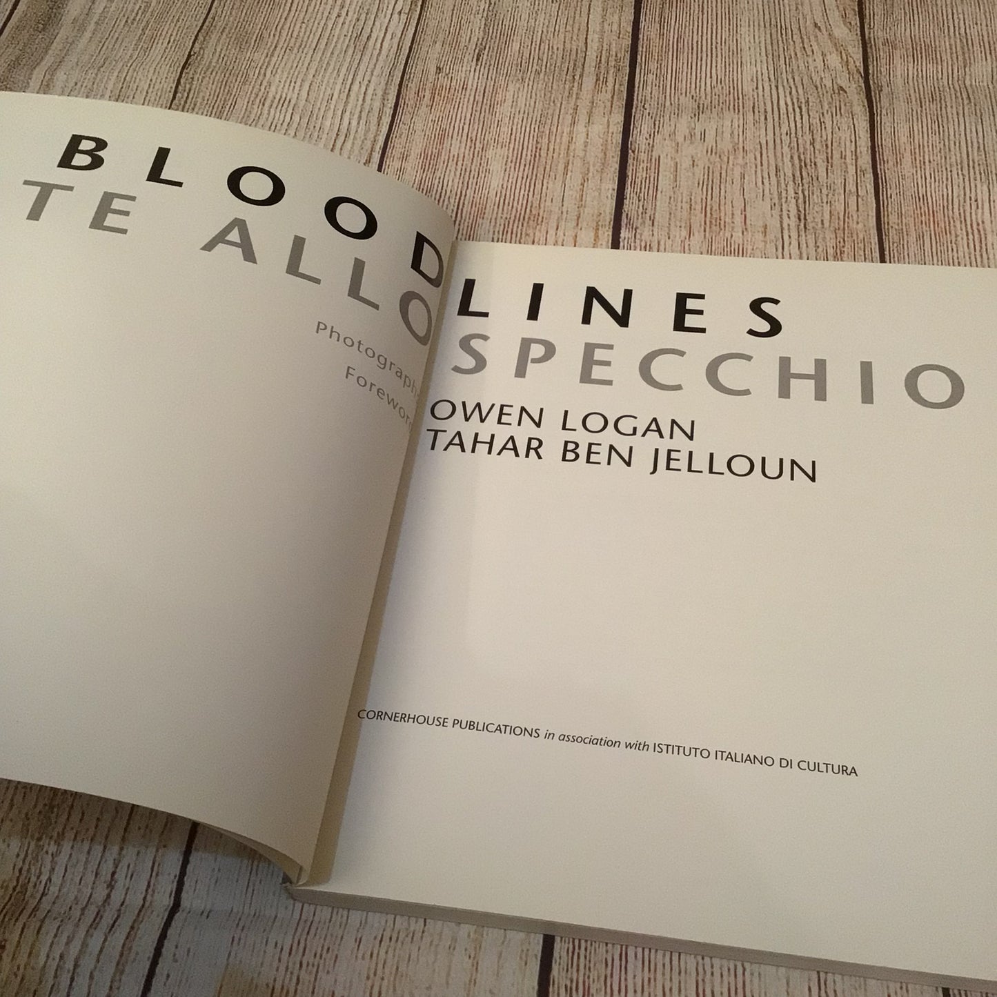 Bloodlines: Vite Allo Specchio by Owen Logan (1994)