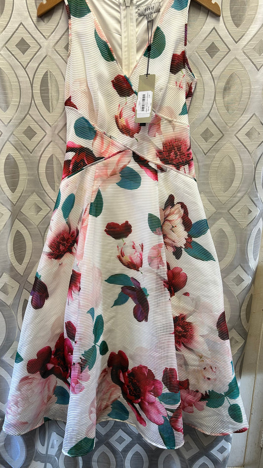 Coast BNWT Dress, size 8, Floral, White