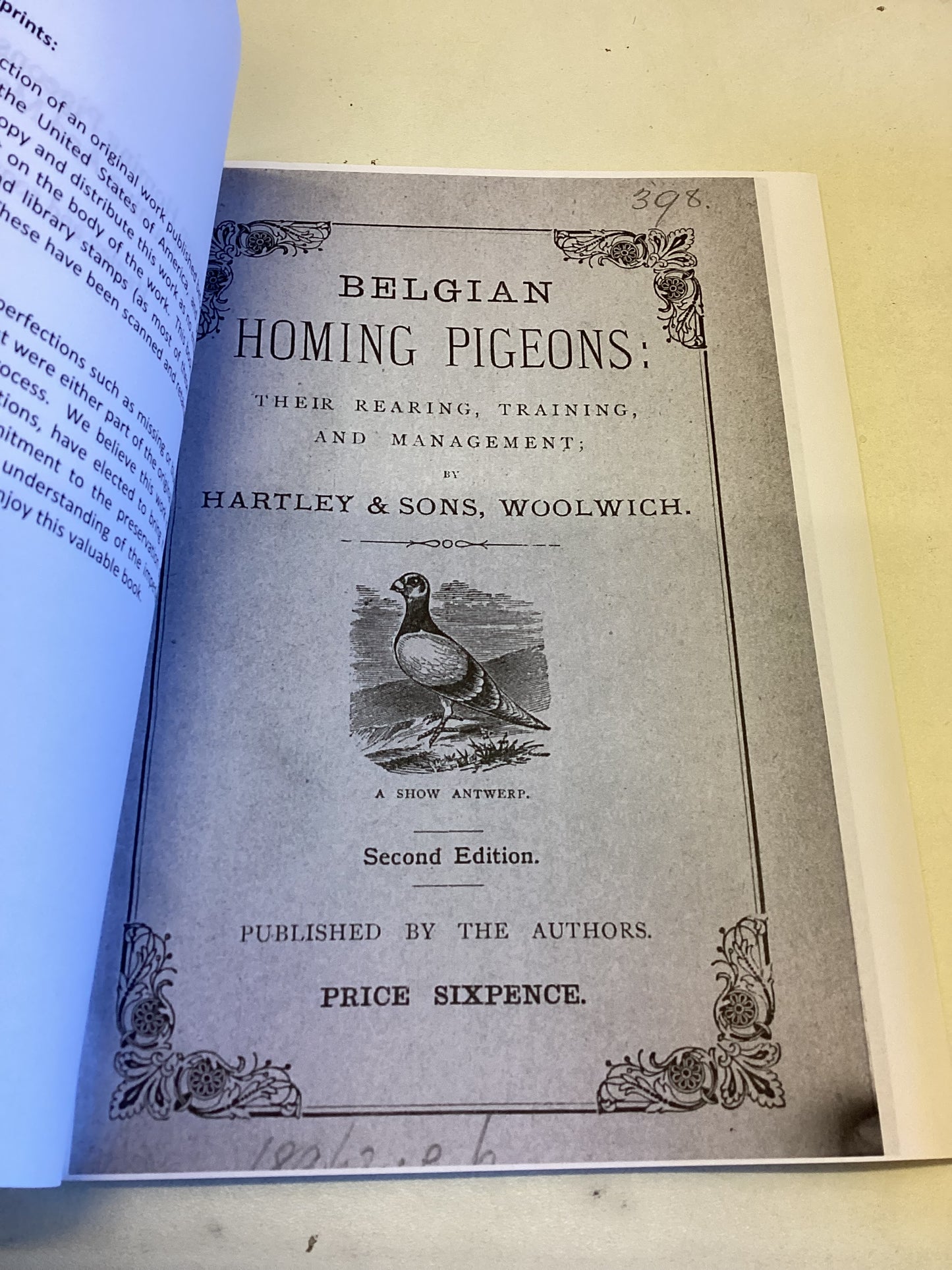 Belgian Homing Pigeons: Their Rearing, Training and Management