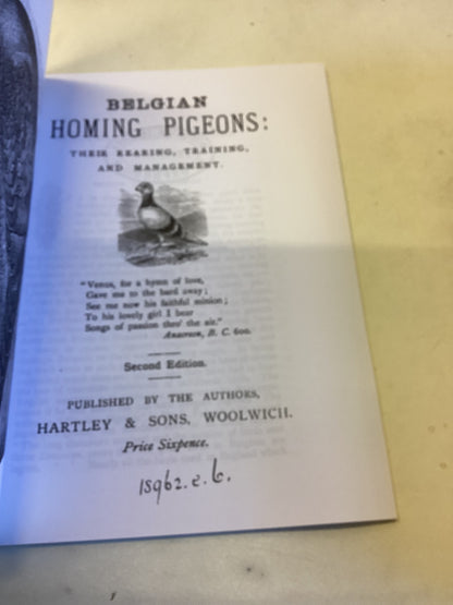 Belgian Homing Pigeons: Their Rearing, Training and Management