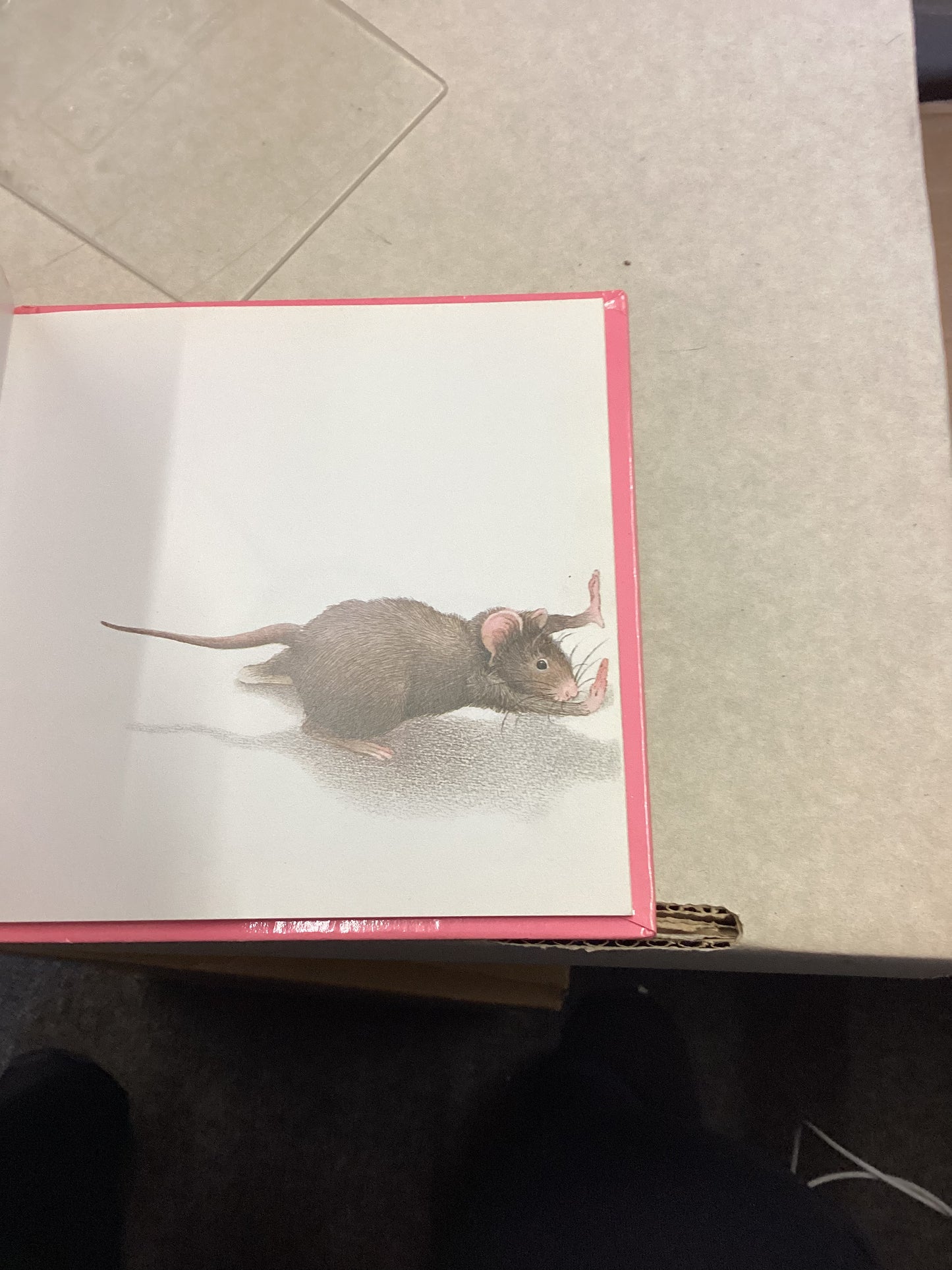 The Story of a Little Mouse Trapped in A Book Monique Felix