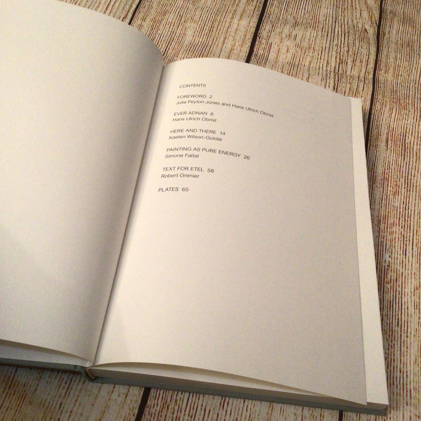 Etel Adnan: The Weight of the World (2016) Koenig Books, Serpentine Galleries