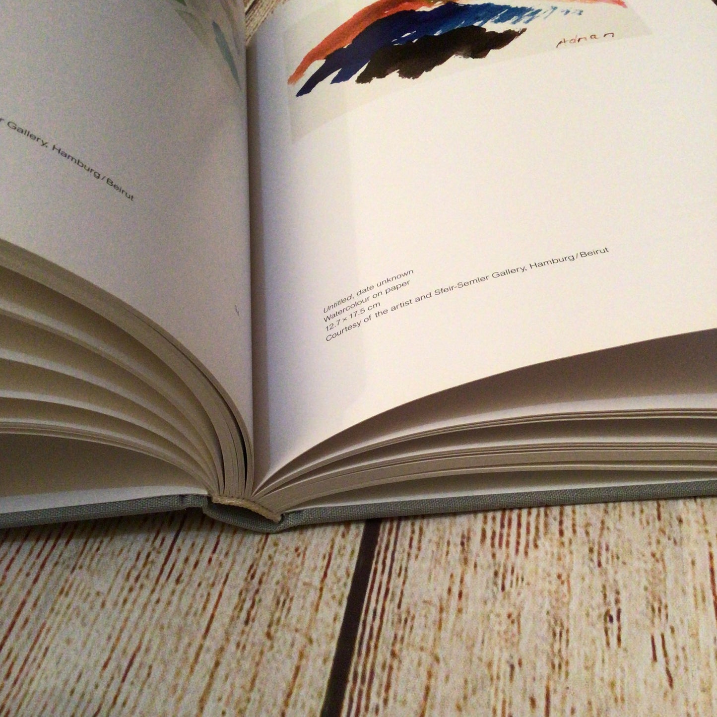 Etel Adnan: The Weight of the World (2016) Koenig Books, Serpentine Galleries
