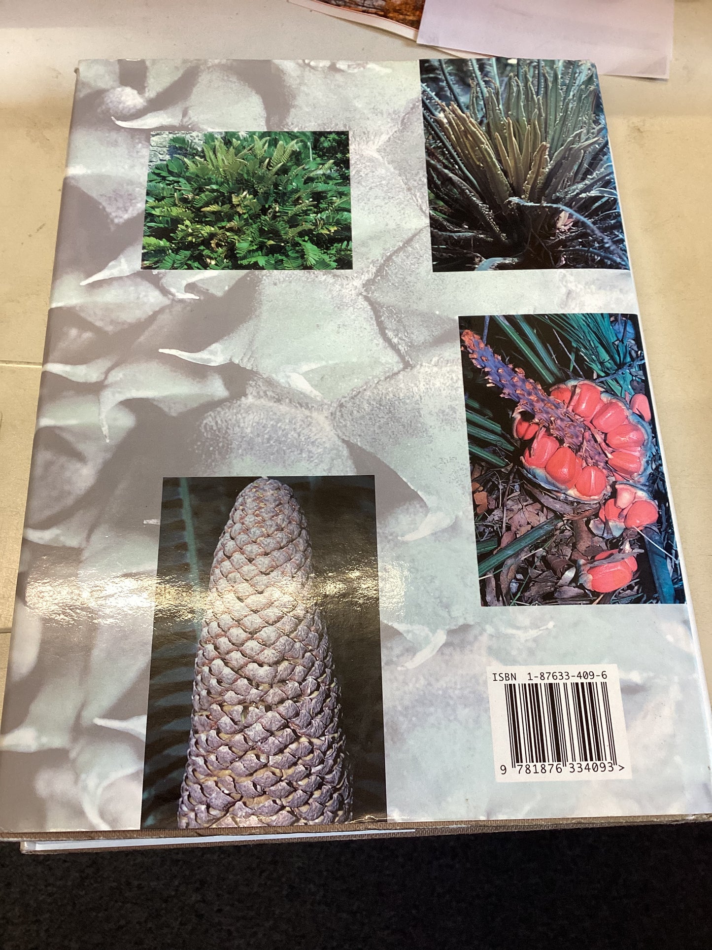 Cycads of The World Ancient Plants in Today's Landscape David L Jones