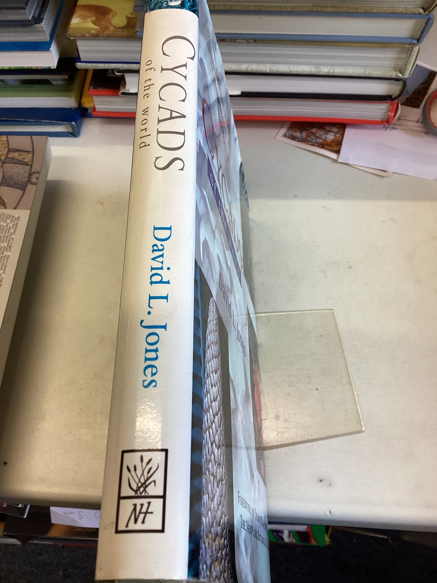 Cycads of The World Ancient Plants in Today's Landscape David L Jones