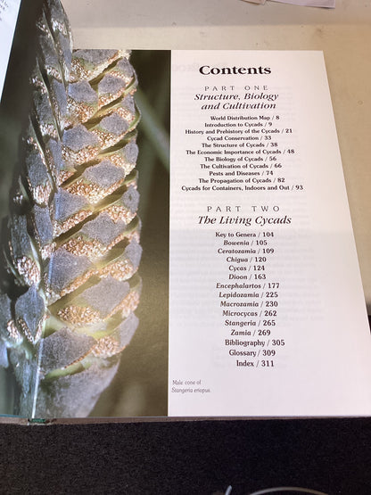 Cycads of The World Ancient Plants in Today's Landscape David L Jones