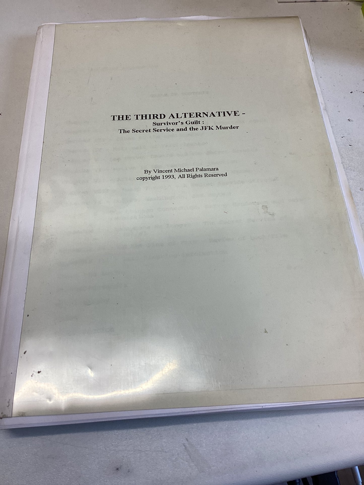 The Third Alternative Survivor's  Guilt: the Secret Service and The JFK Murder