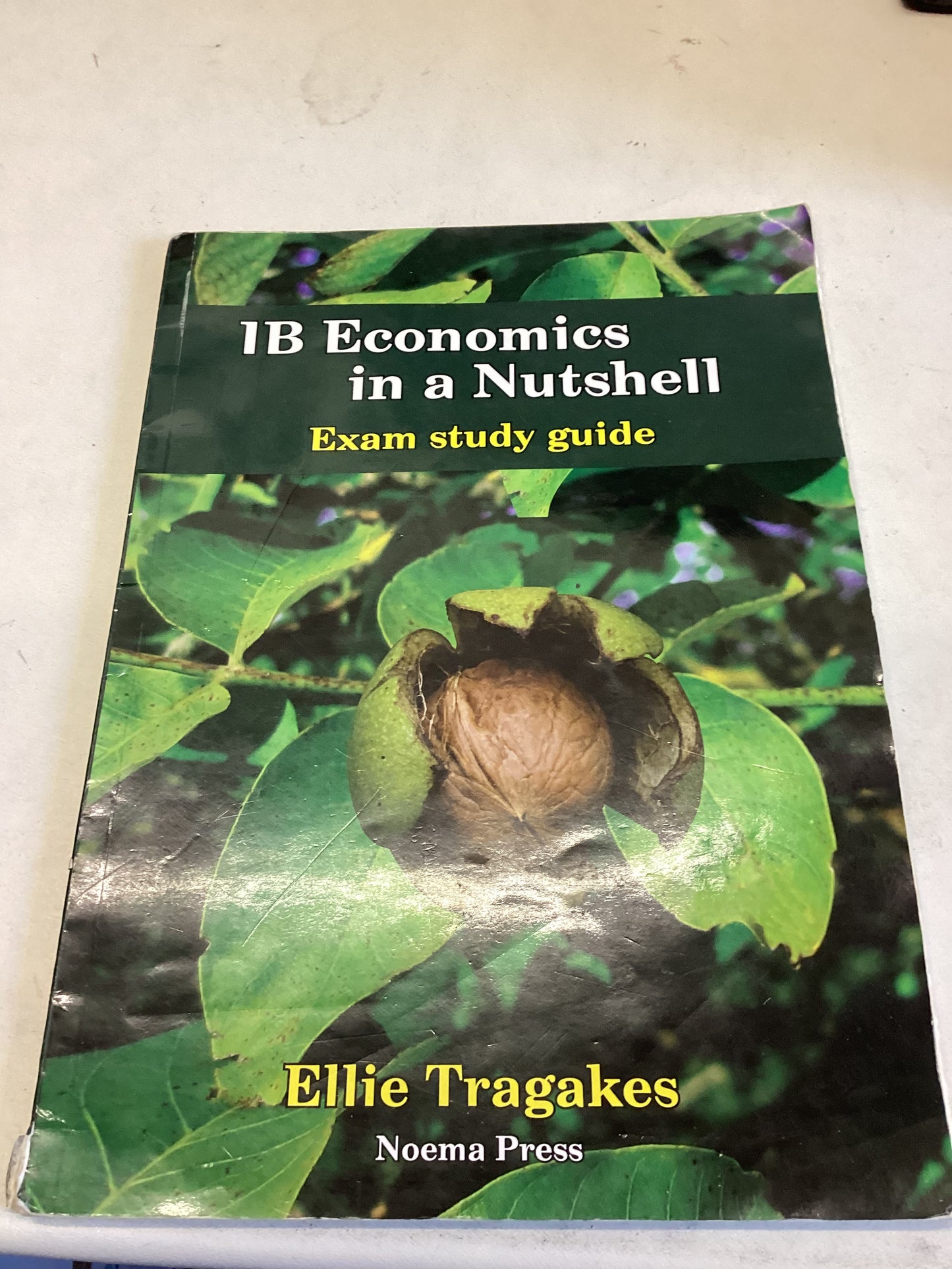 1B Economics In A Nutshell Exam Study Guide Ellie Tragakes