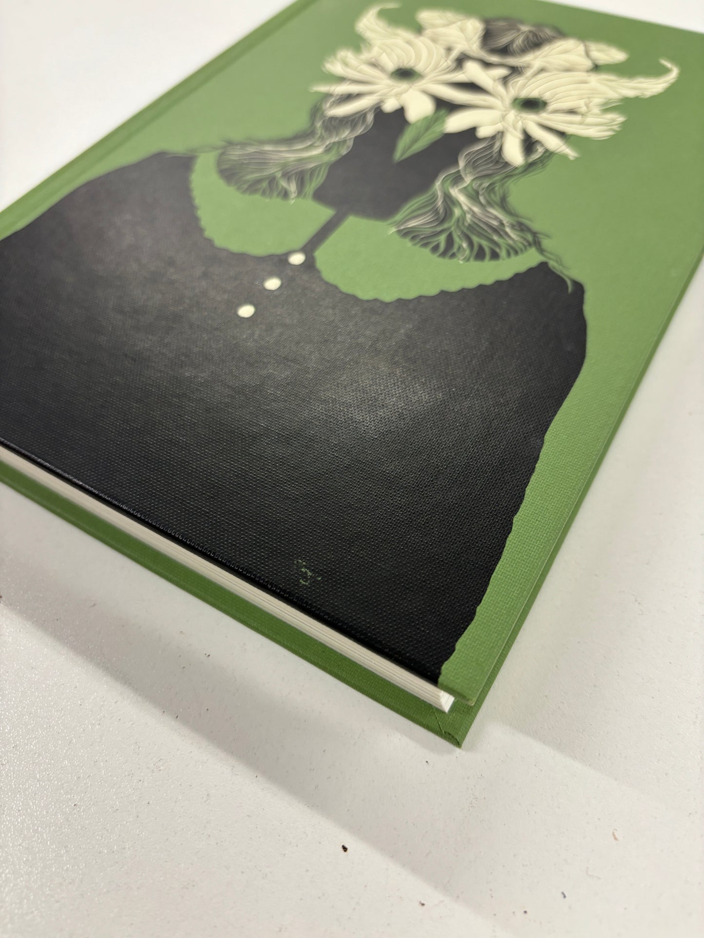 The Owl Service, Alan Garner, Folio Society, 2013