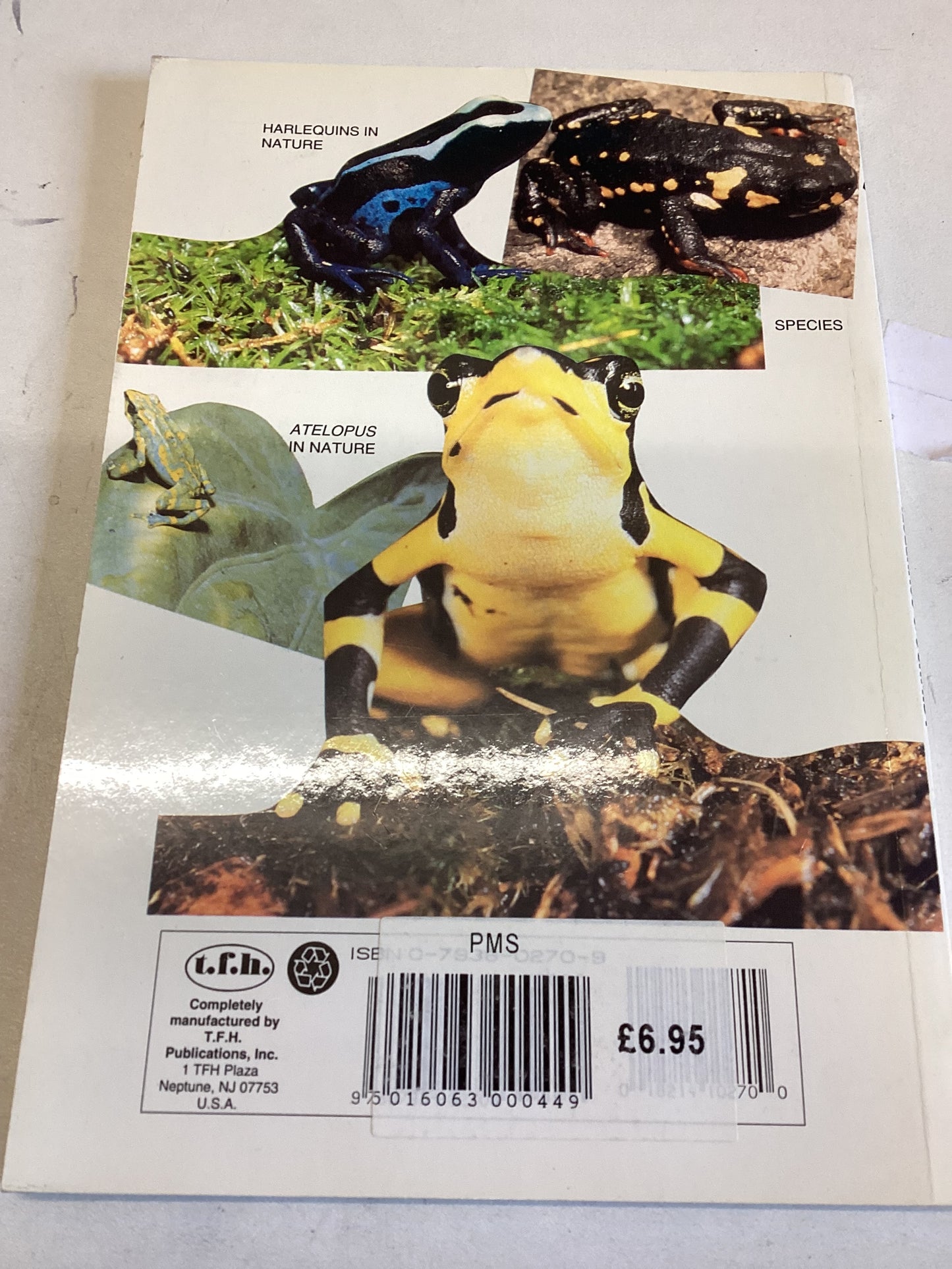 Harlequin Frogs A Complete Guide Ralf Heselhaus & Matthias Schmidt