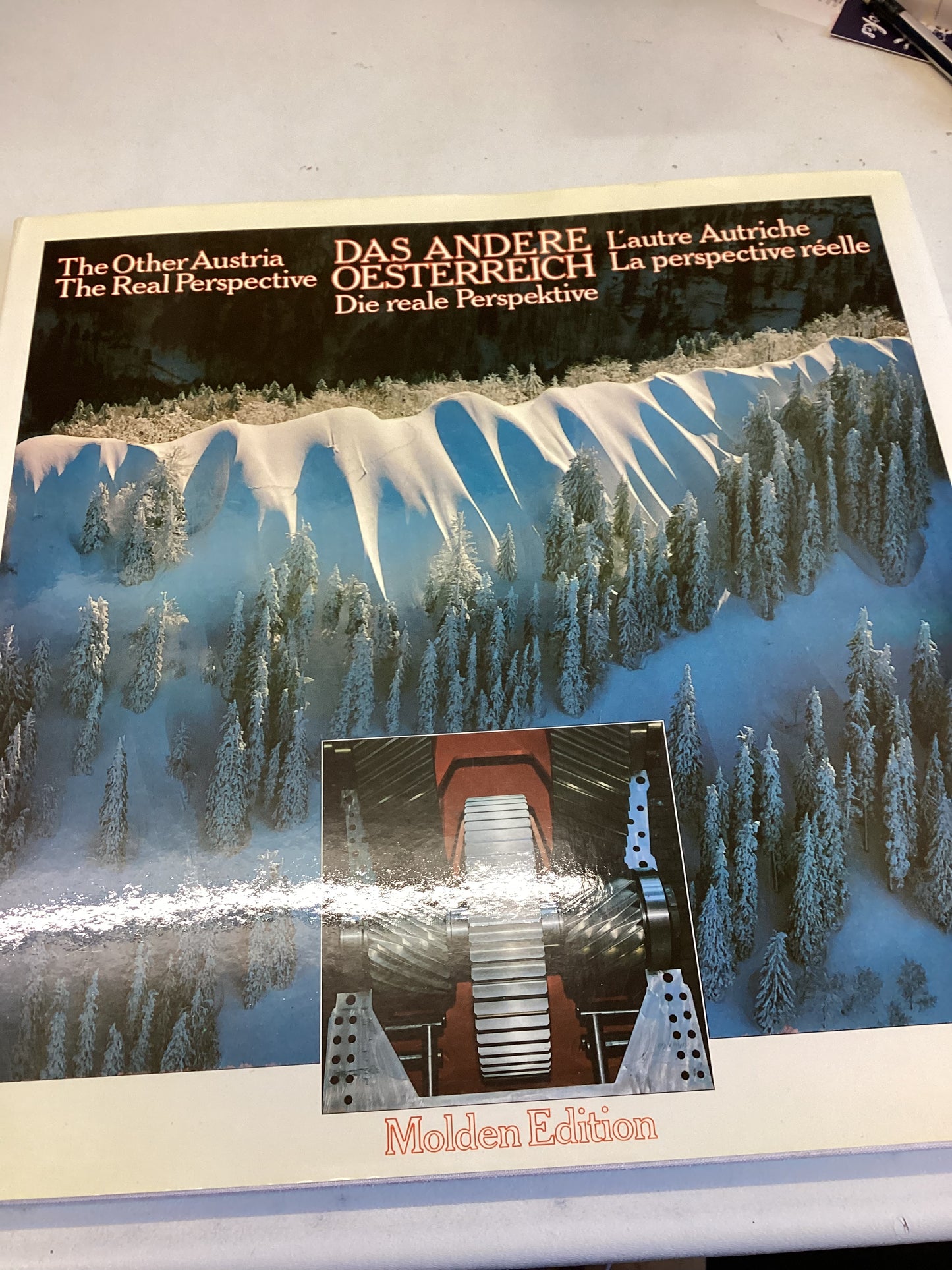 Das Andere Oesterreich Die Reale Perspektive The Other Austria The Real perspective