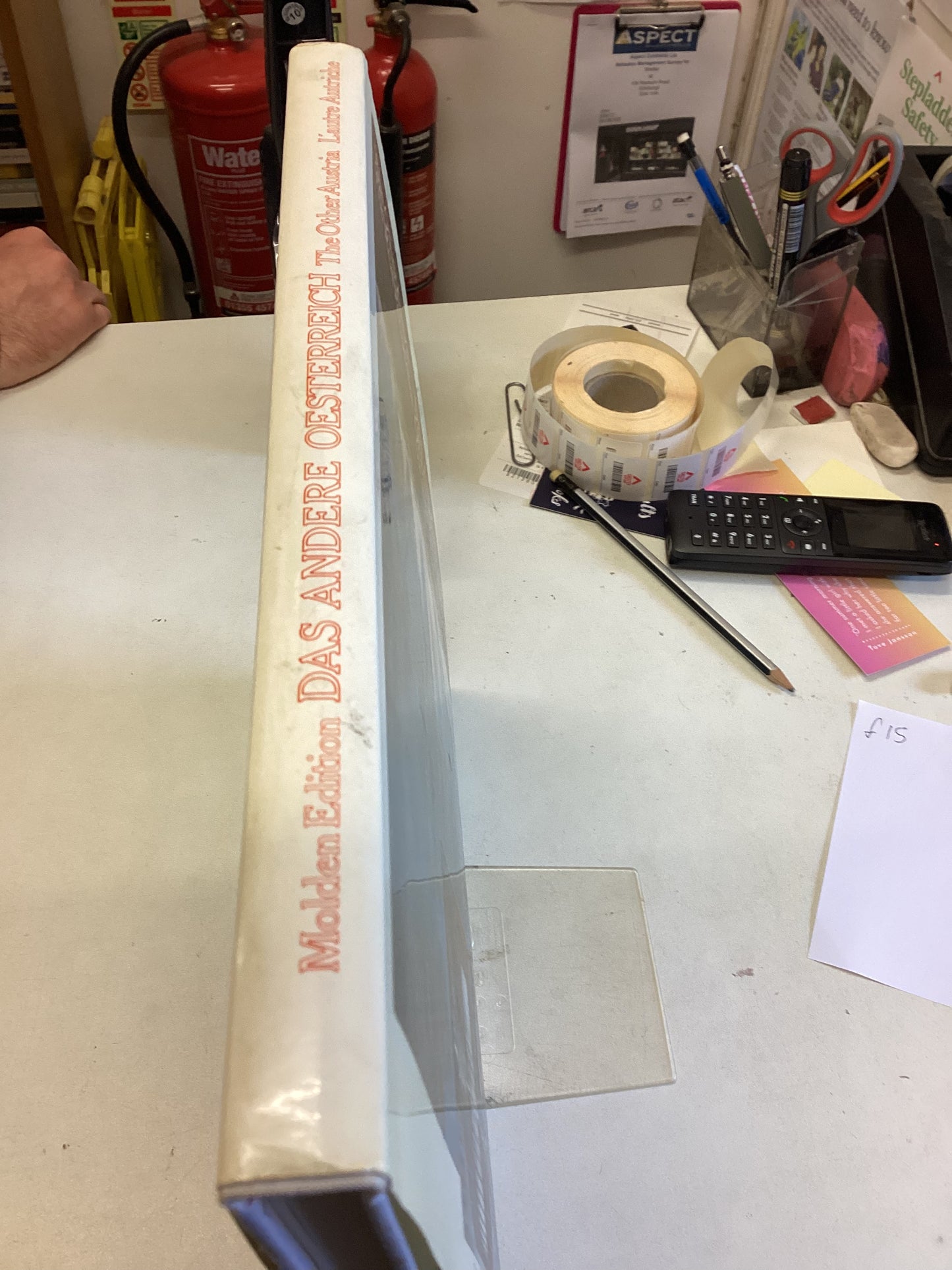 Das Andere Oesterreich Die Reale Perspektive The Other Austria The Real perspective