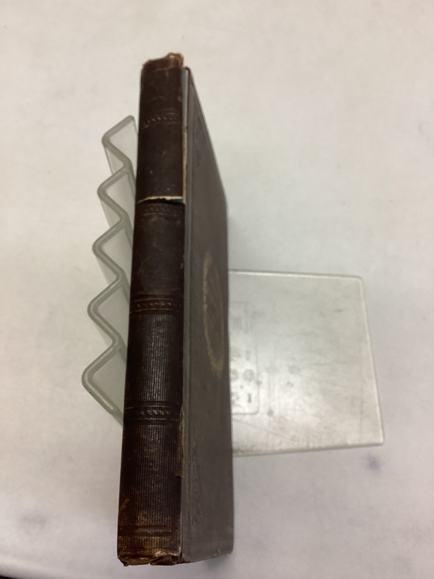 Wild Flowers or Poetic Gleanings from Natural Objects By C S Pyer John Snow 1844 Dedication By Author