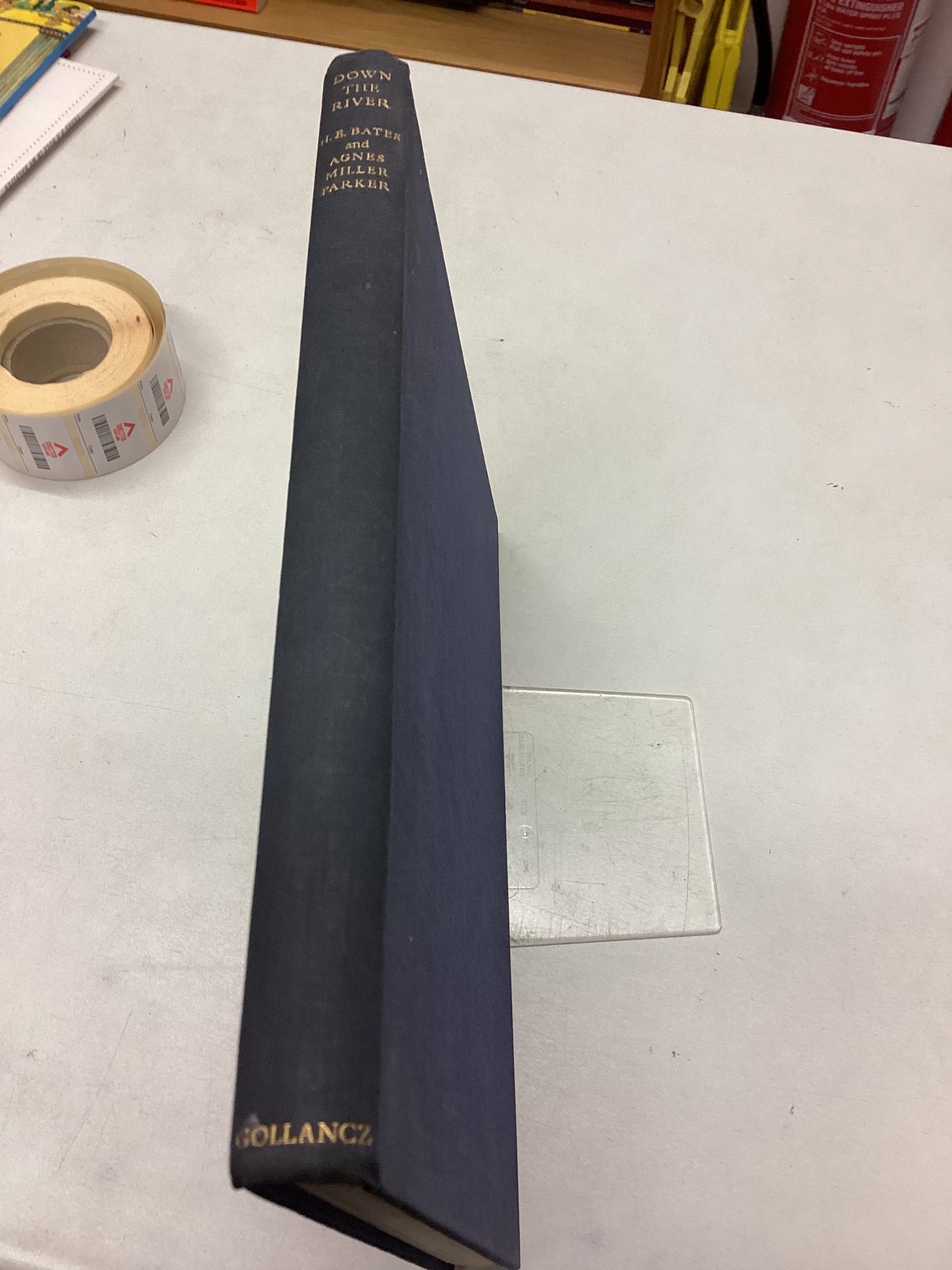 Down The River H E Bates with 83 Engravings on Wood By Agnes Miller Parker