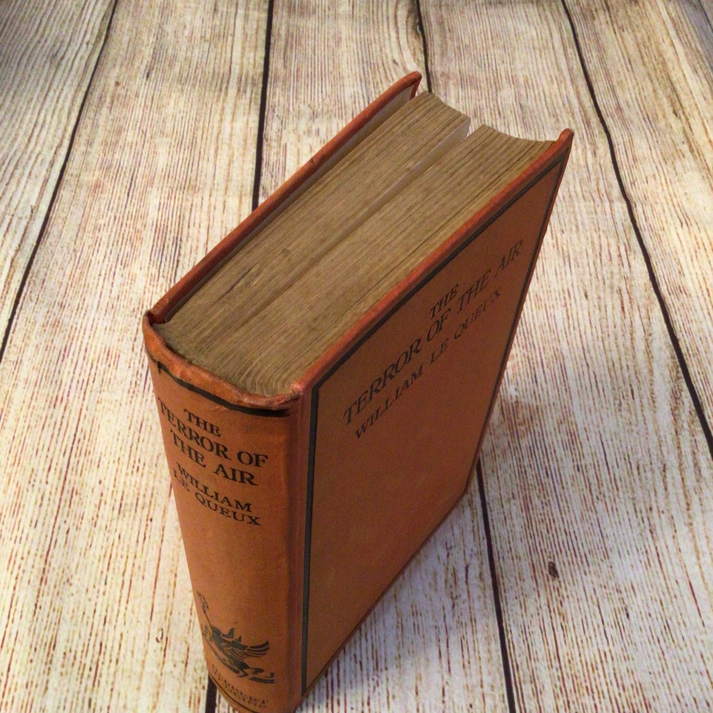 The Terror of the Air by William Le Queux (1929) Herbert Jenkins