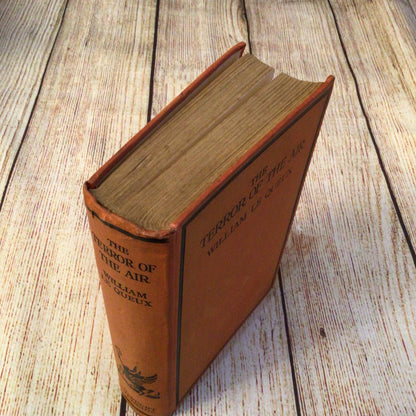 The Terror of the Air by William Le Queux (1929) Herbert Jenkins