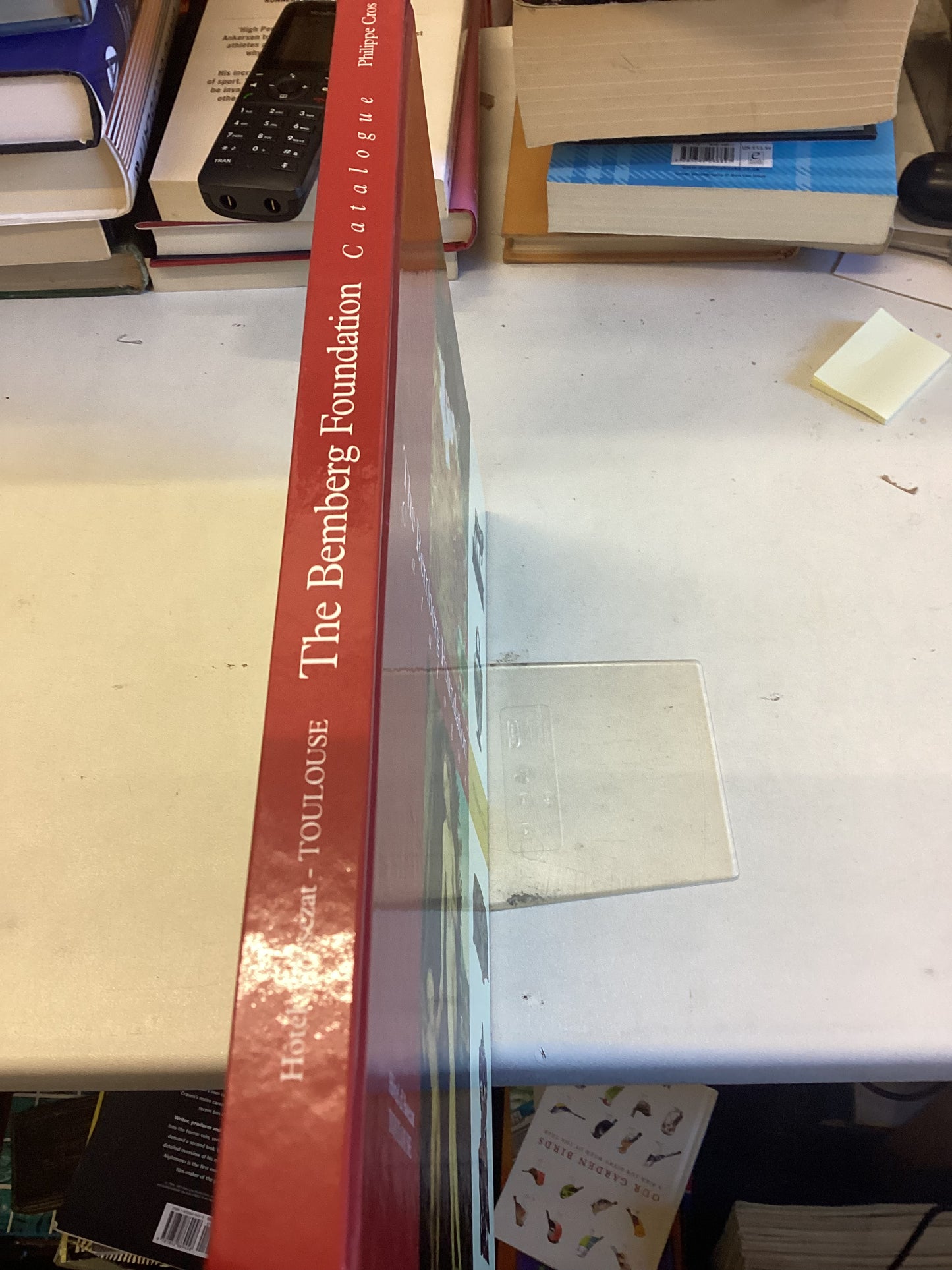 The Bemberg Foundation Catalogue Hotel D'Assezat Toulouse Philippe Cros