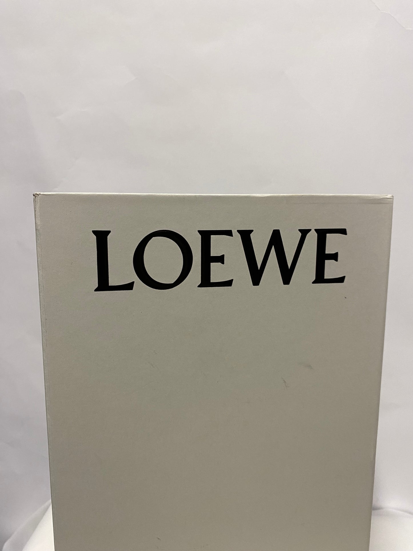 Loewe Terra L Black Loafr Low Heel Loafer with Box 5/38