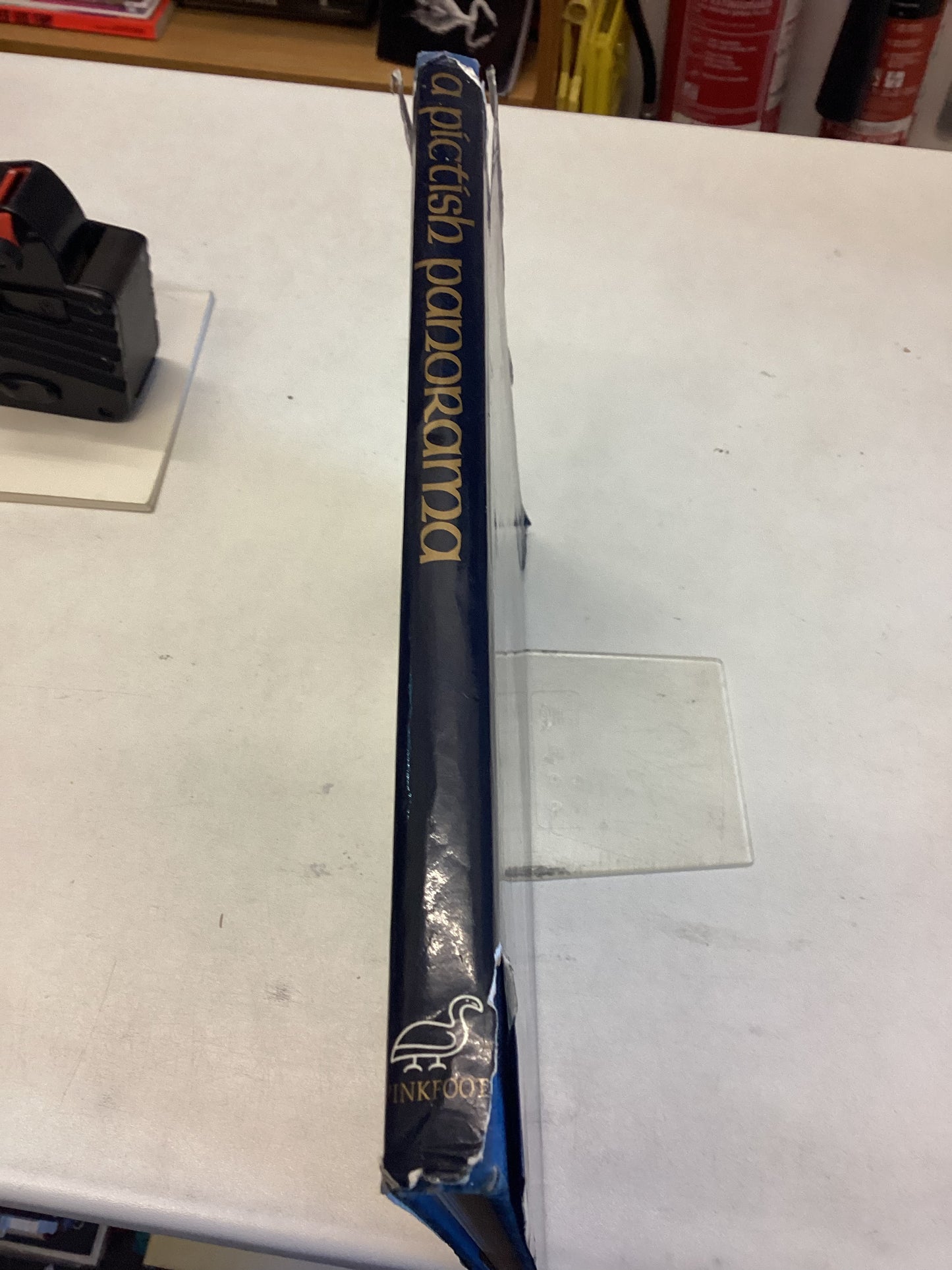 A Pictish Panorama The Story of the Picts and A Pictish Bibliography Edited By Eric H Nicoll