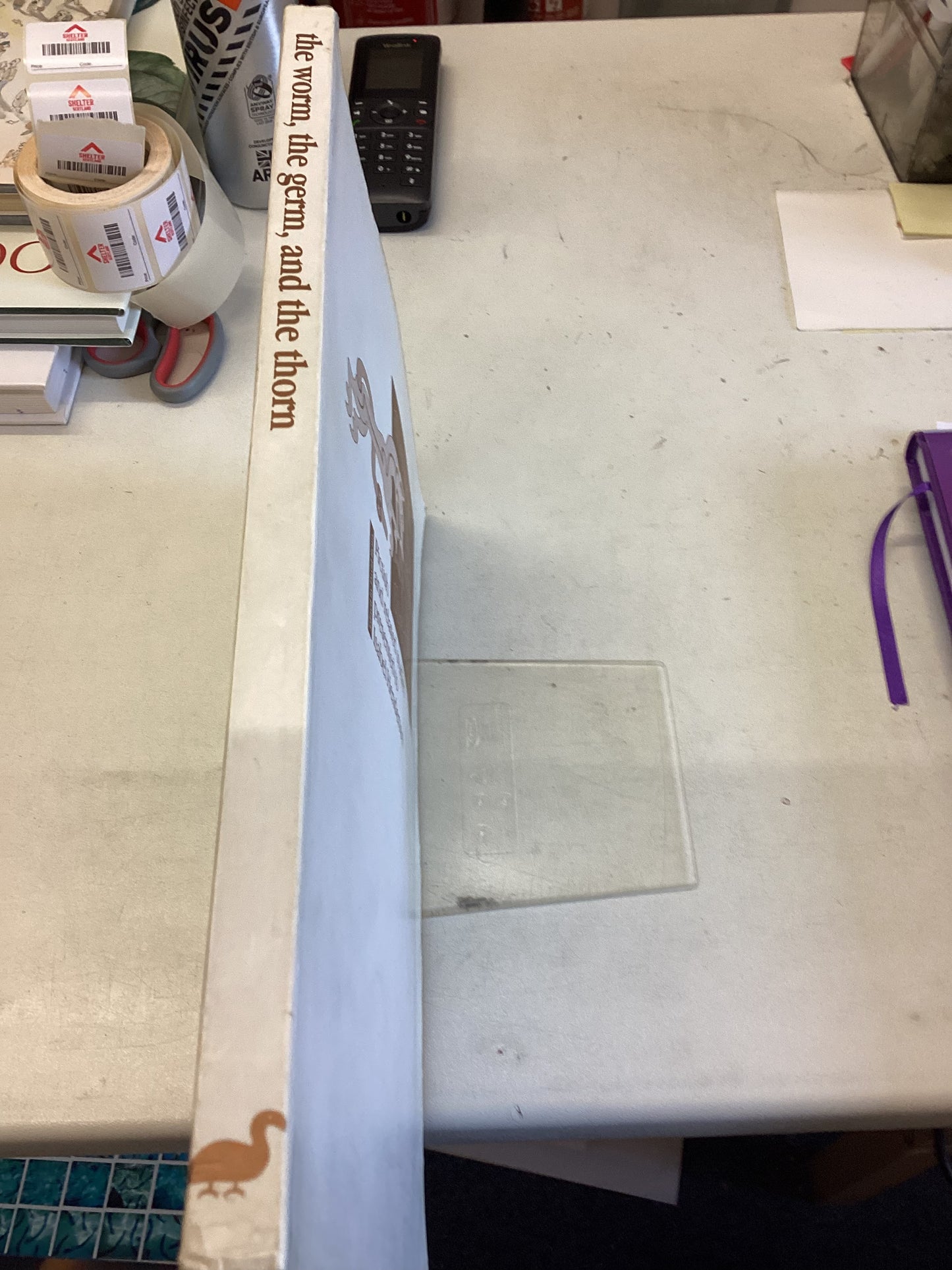 The Worm The Germ and The Thorn Edited By David Henry Pictish and Related Studies Presented To Isabel Henderson