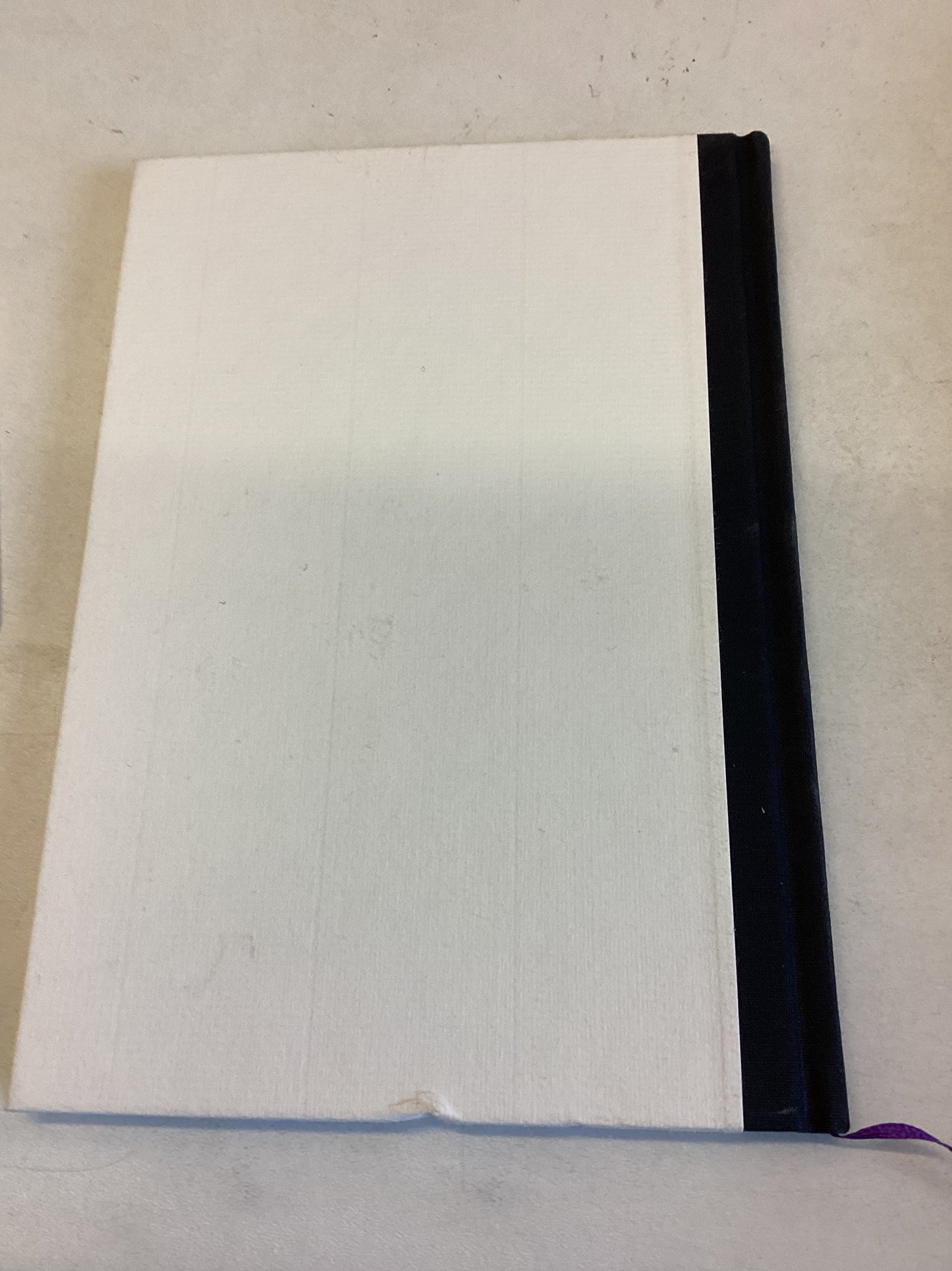 Elizabeth Peyton Paintings 1994 - 2002 12th Nov to 2nd Dec 2006