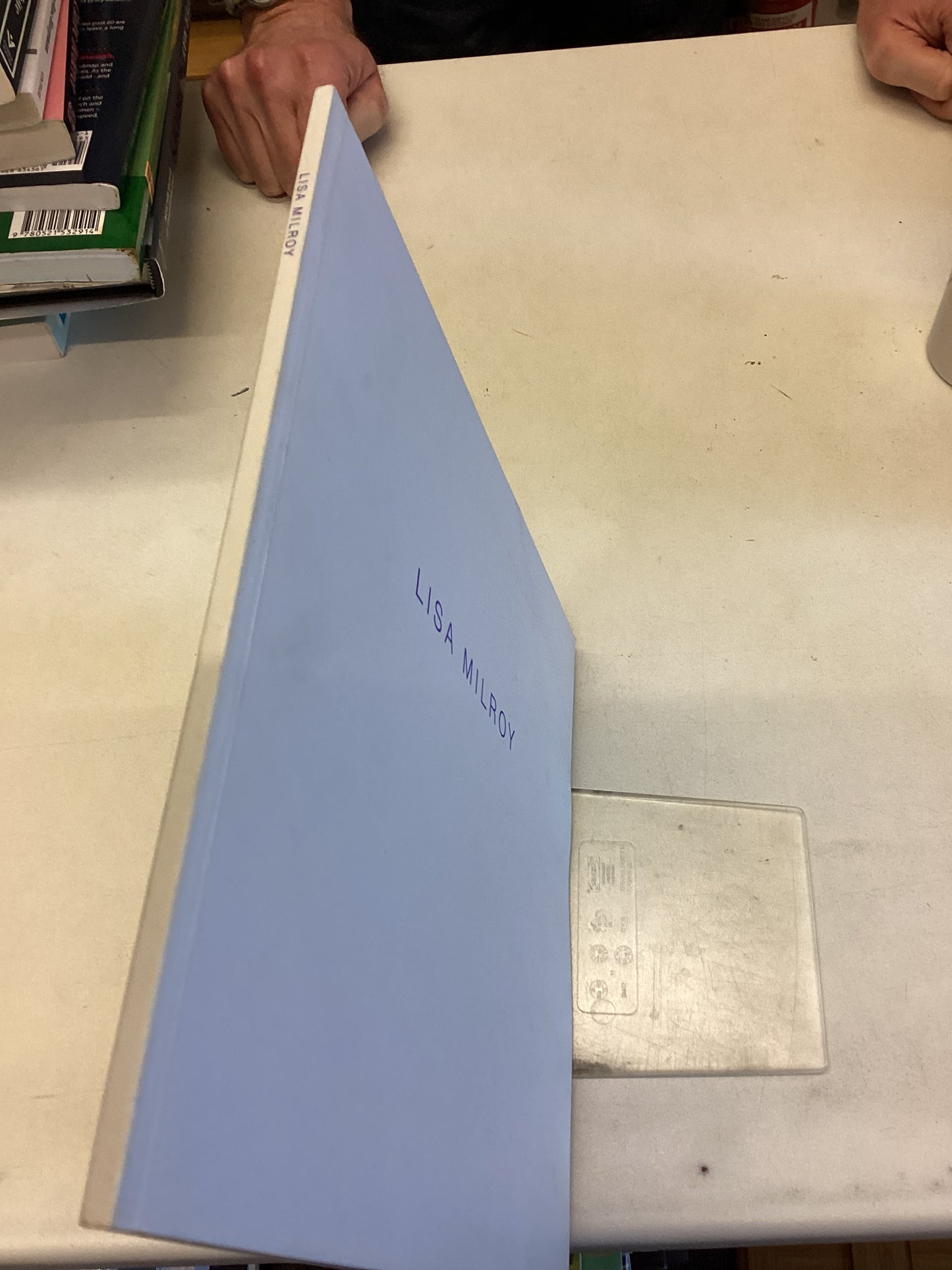 Lisa Milroy Waddington Galleries London 7th April - 1 May 1993