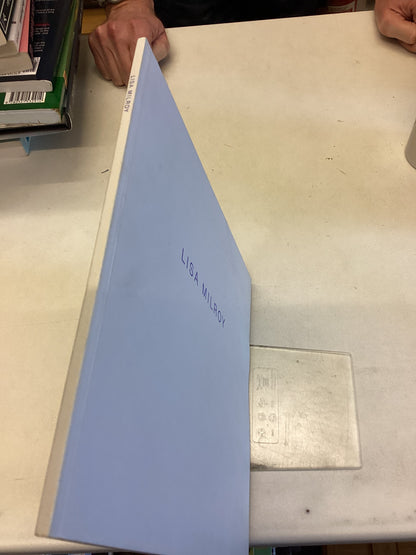 Lisa Milroy Waddington Galleries London 7th April - 1 May 1993