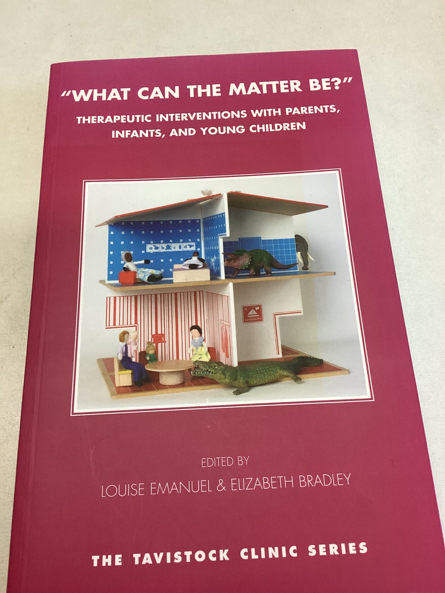 What Can The Matter Be Therapeutic Interventions With Parents, Infants and Young Children Edited By Louise Emanuel and Elizabeth Bradley