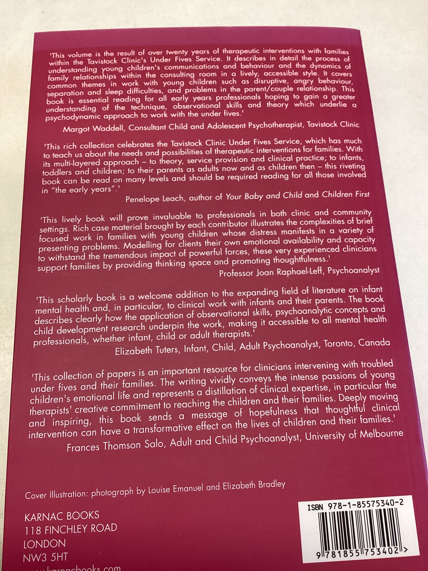 What Can The Matter Be Therapeutic Interventions With Parents, Infants and Young Children Edited By Louise Emanuel and Elizabeth Bradley