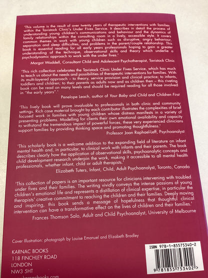 What Can The Matter Be Therapeutic Interventions With Parents, Infants and Young Children Edited By Louise Emanuel and Elizabeth Bradley