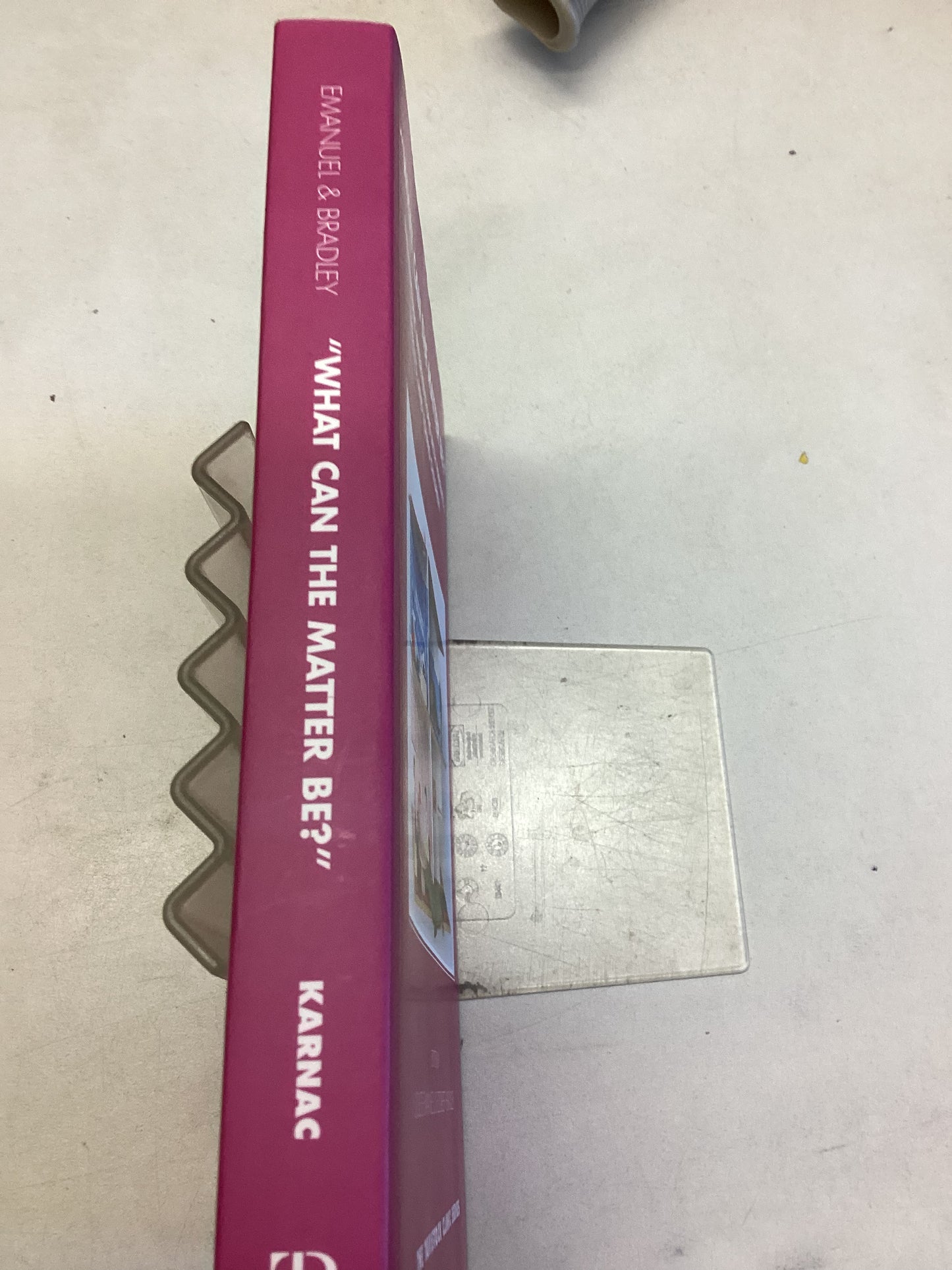 What Can The Matter Be Therapeutic Interventions With Parents, Infants and Young Children Edited By Louise Emanuel and Elizabeth Bradley