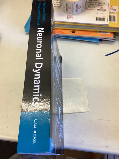 Neuronal Dynamics From Single Neurons to Networks and Models of Cognition