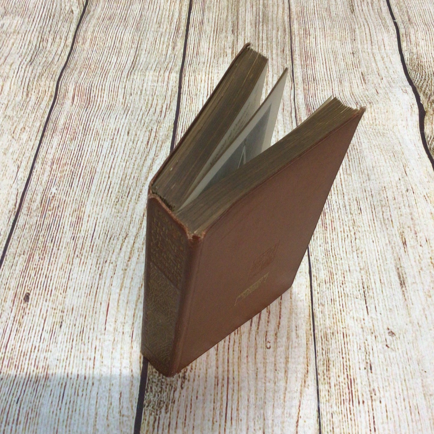 The Stones of Venice Vol. 1-3 The Foundations, Sea Stories, The Fall (Everyman's Library)