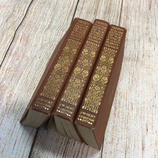 The Stones of Venice Vol. 1-3 The Foundations, Sea Stories, The Fall (Everyman's Library)