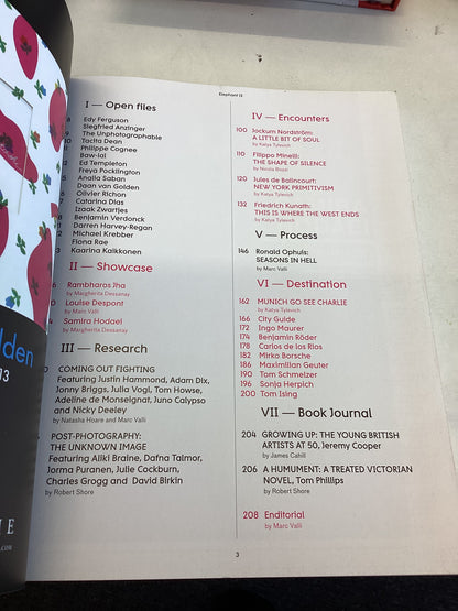 Elephant Issue 13 Winter 2012/2013 The Art & Visual Culture Magazine Ronals Ophuis Jules De Balincourt Friedrich Kunath Munich