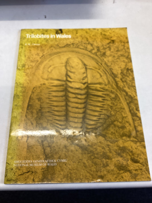 Trilbites in Wales National Museum of Wales Geological Series No 7 Cardiff April 1984 R M Owens