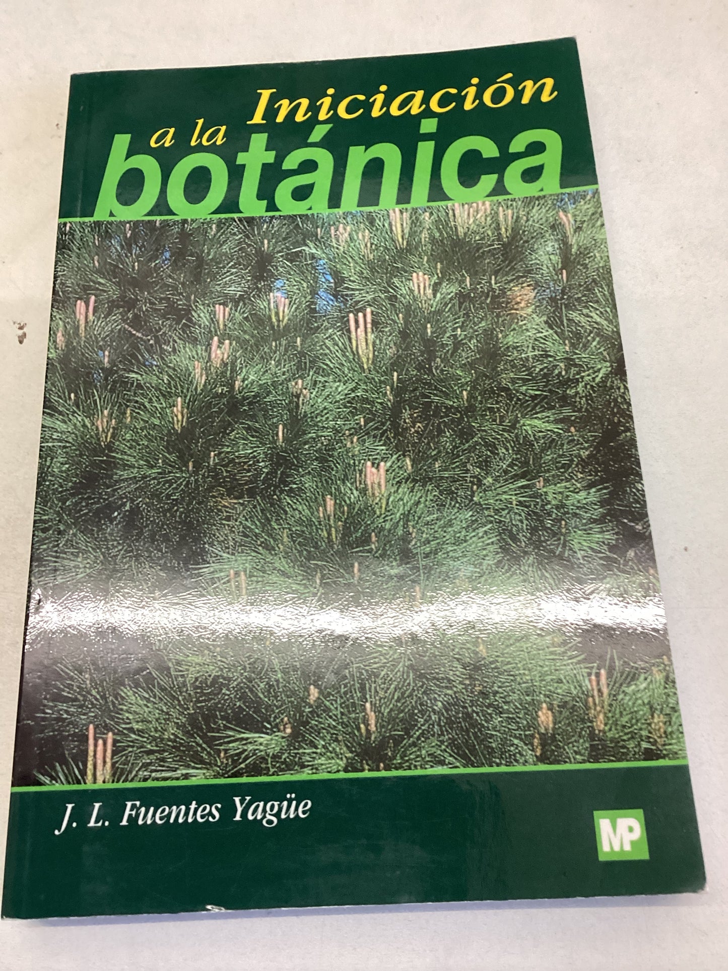 Iniciacion a La Botanica J L Fuentes Yague