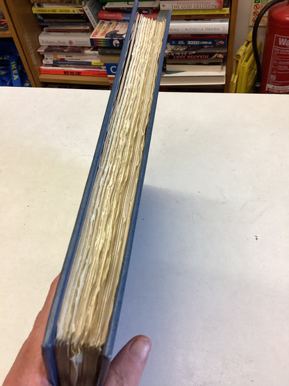 Swansea Porcelain W D John