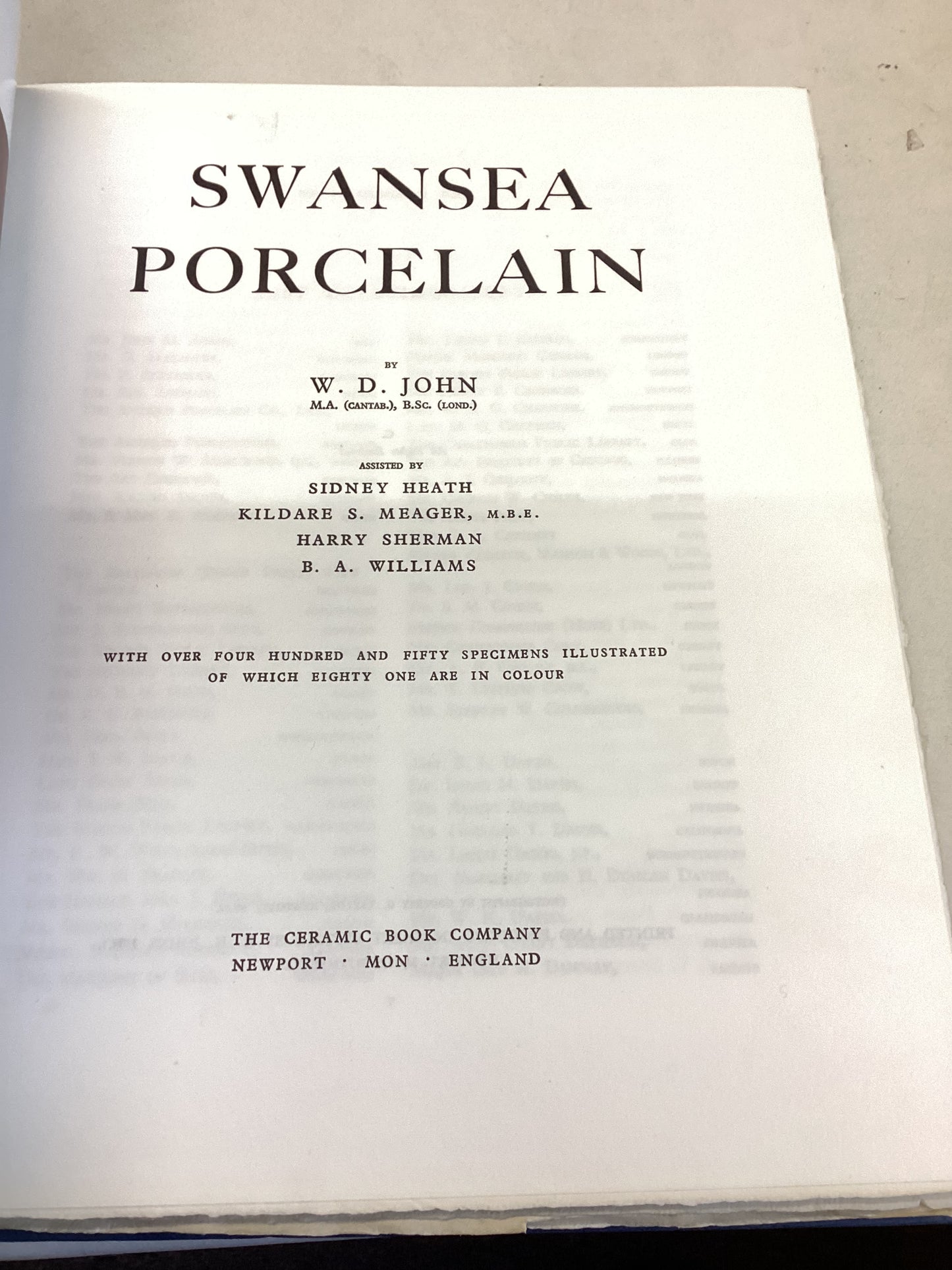 Swansea Porcelain W D John