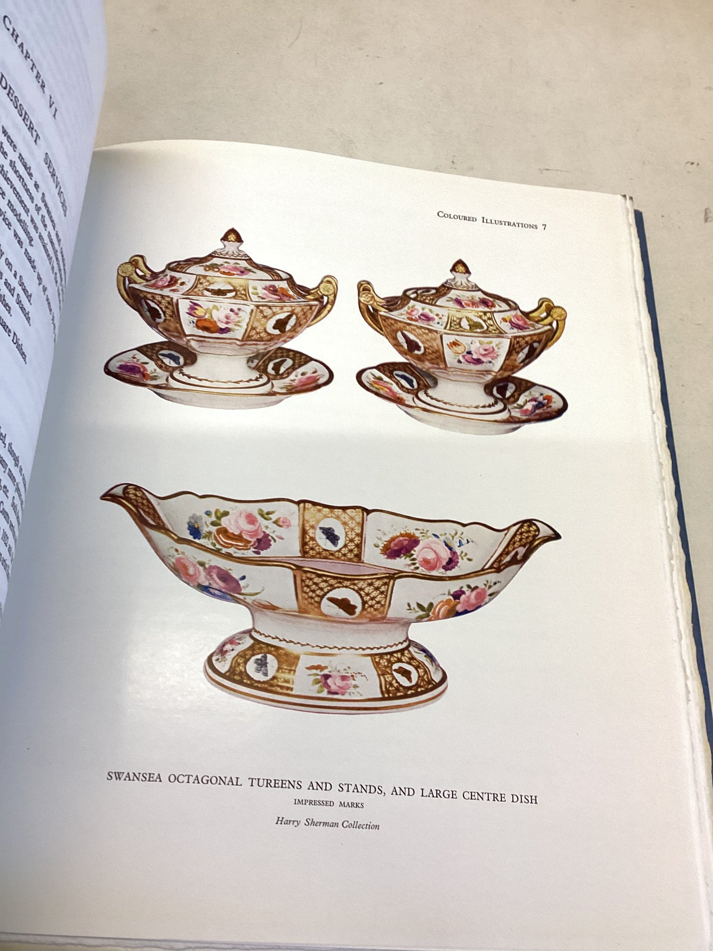 Swansea Porcelain W D John