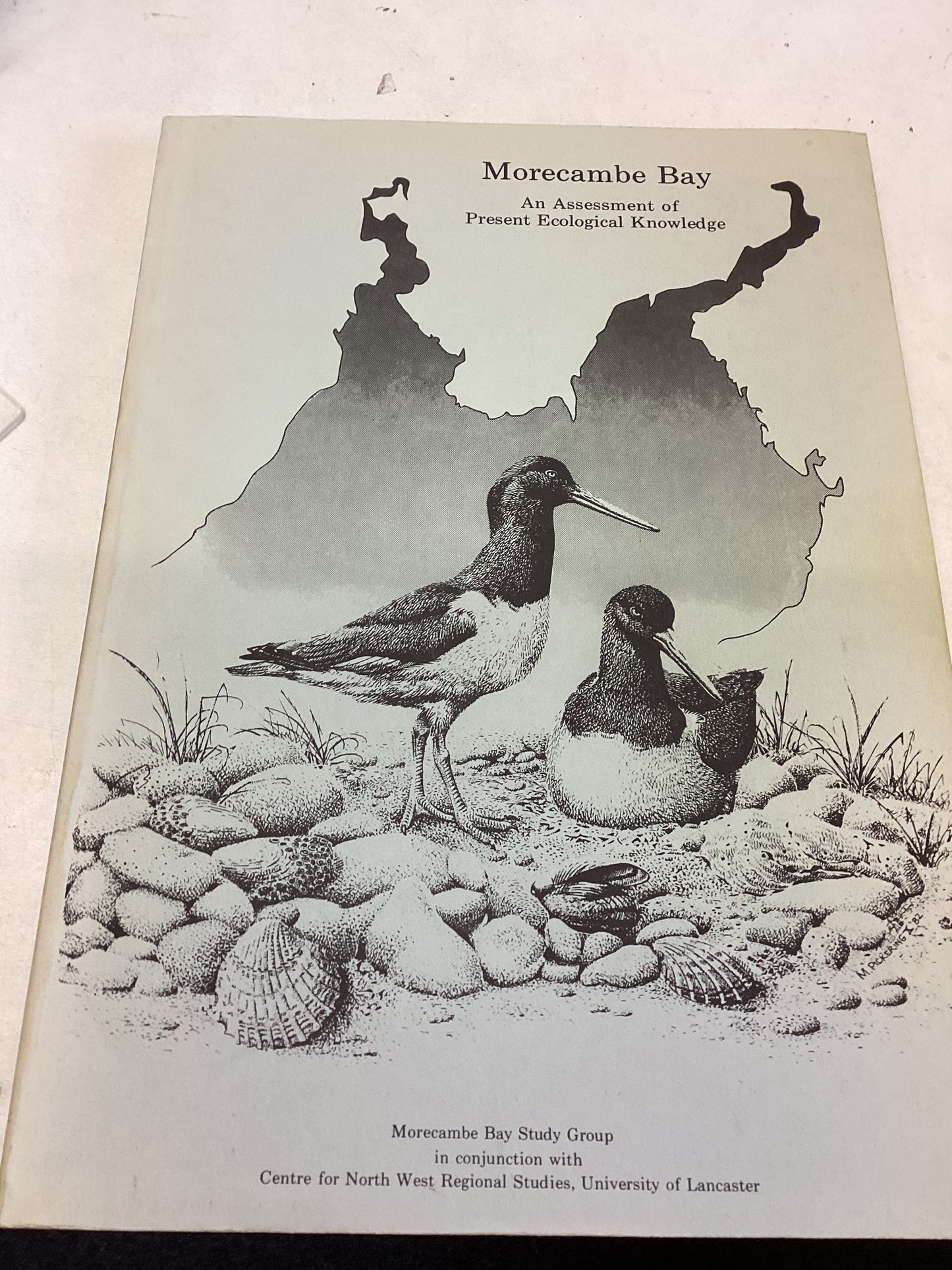 Morecambe Bay An Assessment of Present Ecological Knowledge Editors N A Robinson and A W Pringle