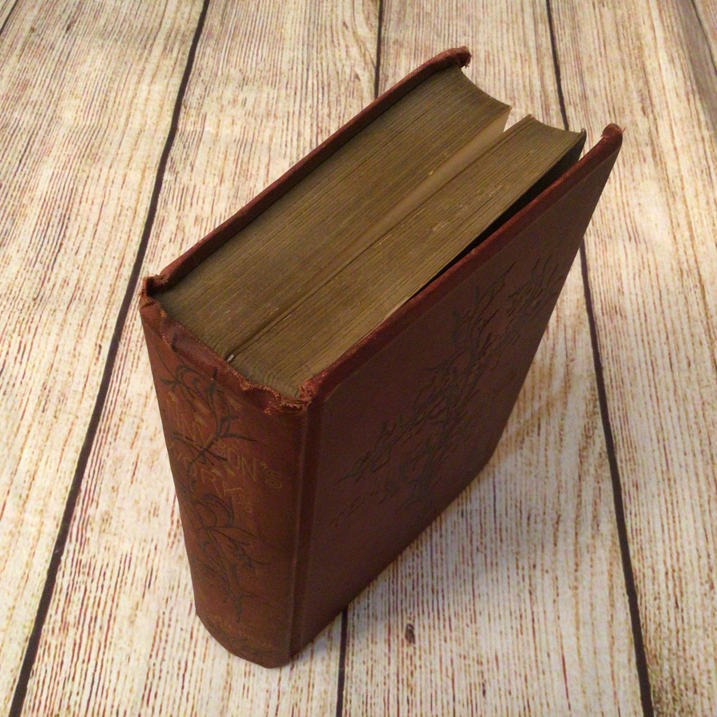 The Works of Alfred Tennyson Poet Laureate (1880, C. Kegan Paul & Co.)