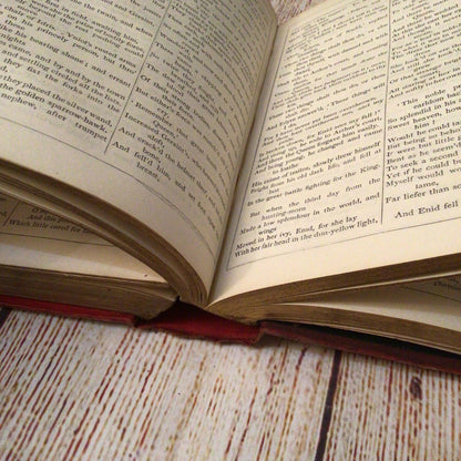 The Works of Alfred Tennyson Poet Laureate (1880, C. Kegan Paul & Co.)