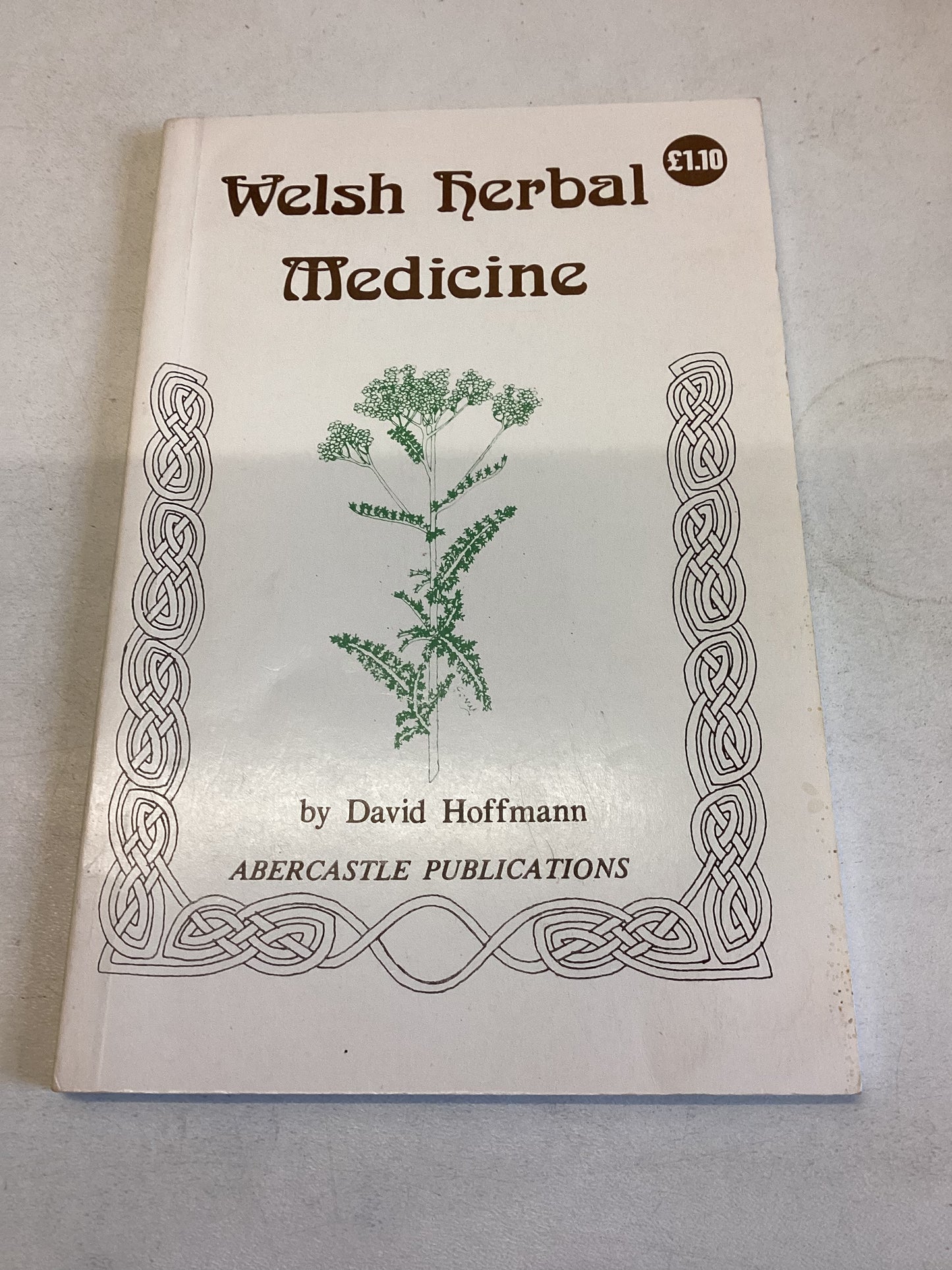 Welsh Herbal Medicine David Hoffmann
