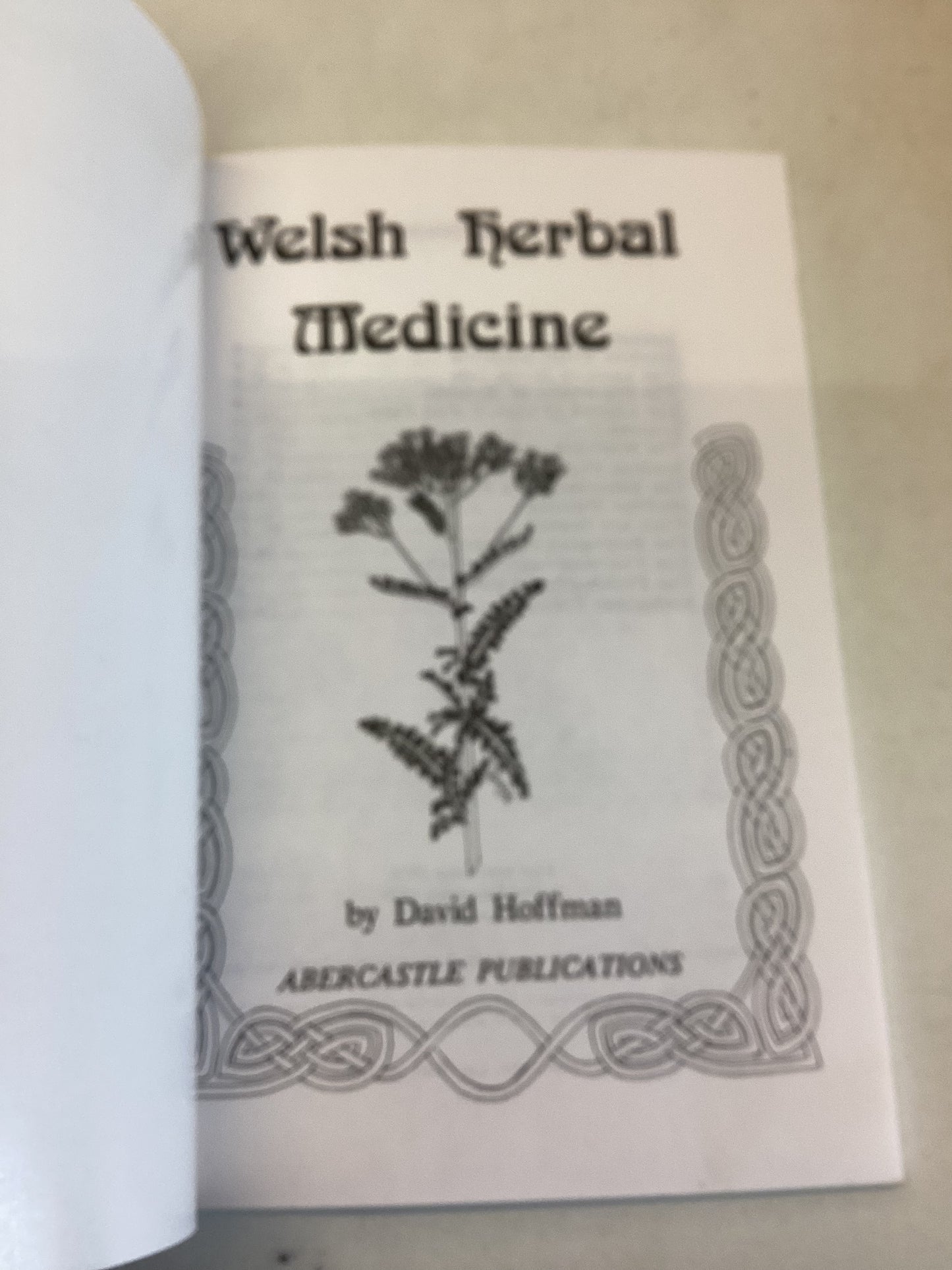 Welsh Herbal Medicine David Hoffmann