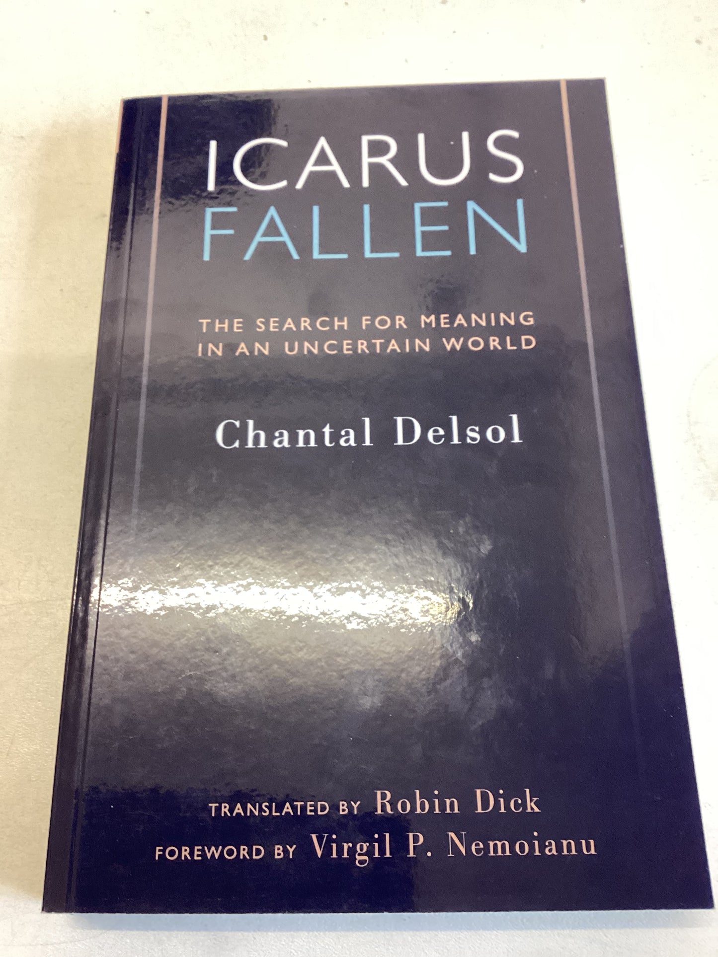 Icarus Fallen the Search For Meaning In An Uncertain World Chantel Delsol