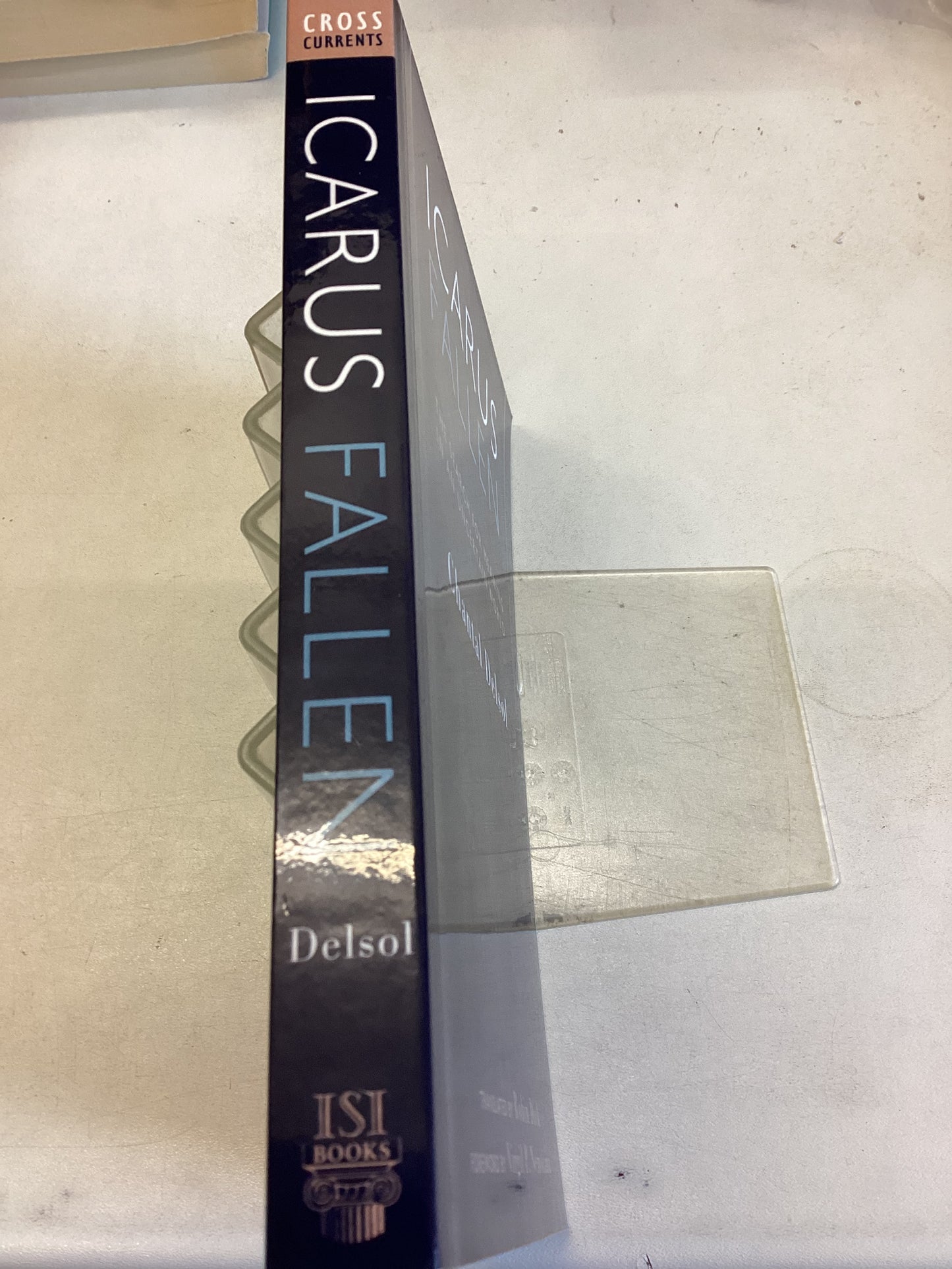 Icarus Fallen the Search For Meaning In An Uncertain World Chantel Delsol