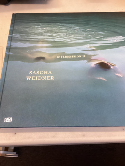Sascha Weidner Inter - Mission 11