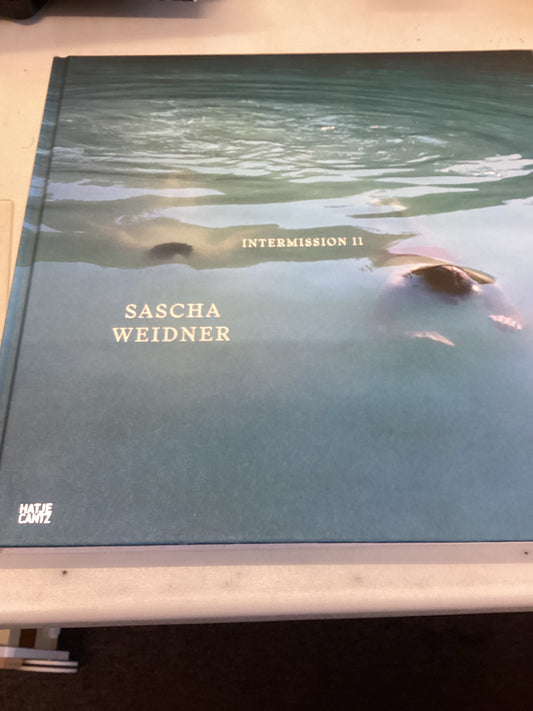 Sascha Weidner Inter - Mission 11